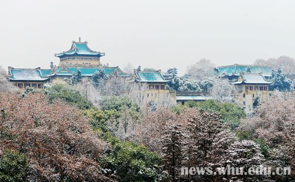 雪落靜無聲組圖