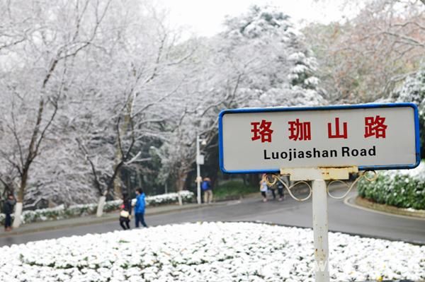 雪落靜無聲組圖