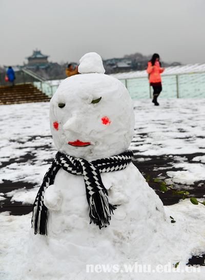 雪落靜無聲組圖