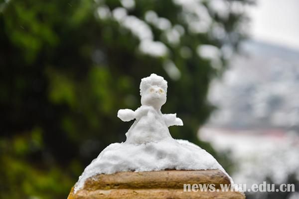 雪落靜無聲組圖