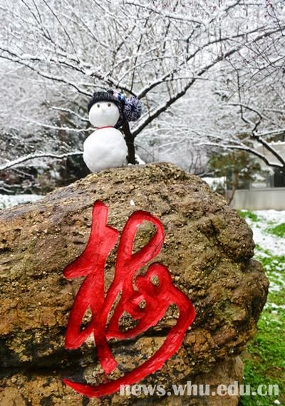 雪落靜無聲組圖