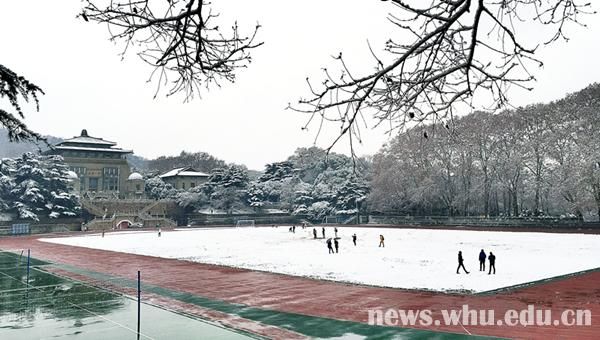 雪落靜無聲組圖