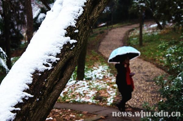 雪落靜無聲組圖