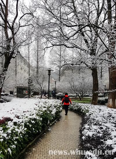 雪落靜無聲組圖