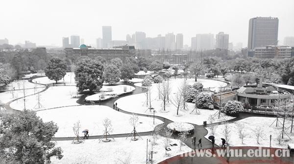 雪落靜無聲組圖