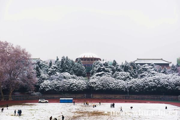 雪落靜無聲組圖