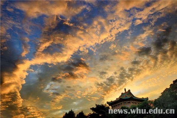 400余幅照片盡展光影魅力組圖