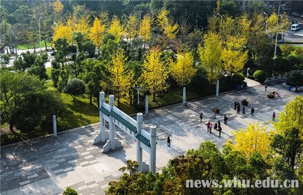 400余幅照片盡展光影魅力組圖