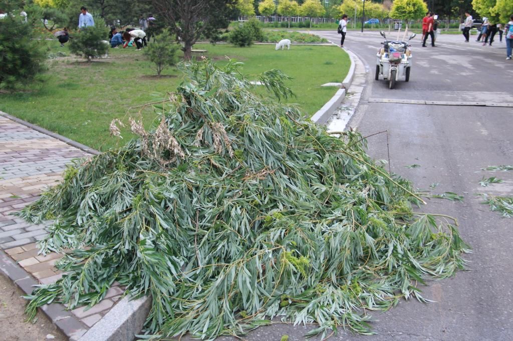 暴雨后的校園